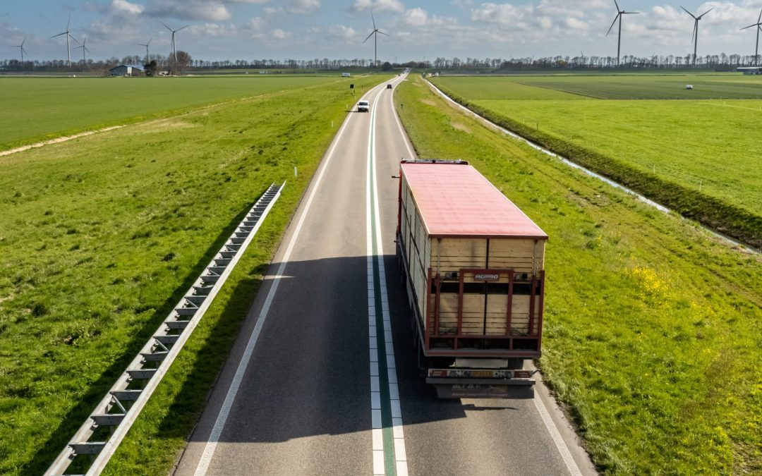 Protezione merci: il nostro prodotto assicurativo per la sicurezza degli autotrasportatori