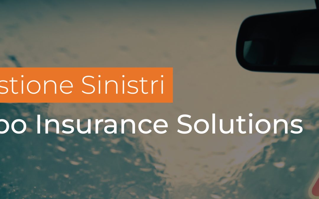 La GESTIONE SINISTRI di Qubo Insurance Solutions®